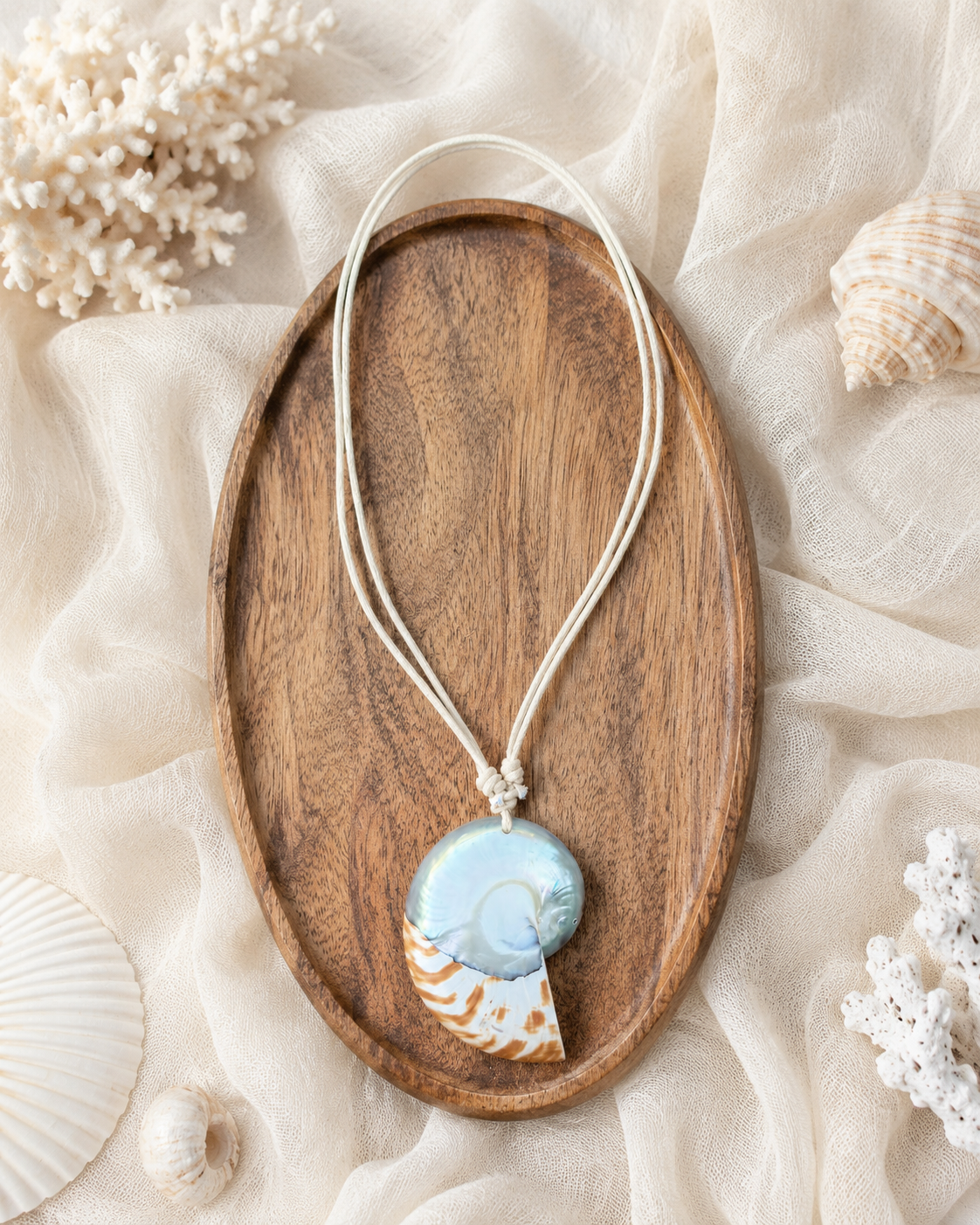 White Nautilus shell necklace natural spiral detail