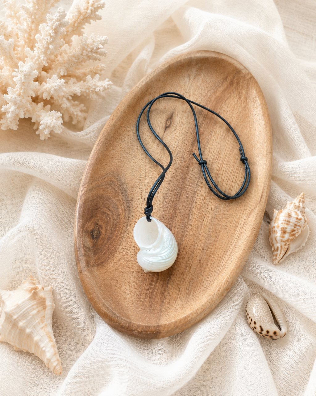 Natural Nautilus shell necklace spiral pendant detail